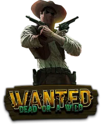 Wanted Dead Or A Wild
